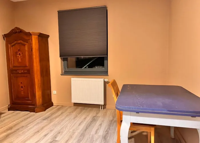 Premium Mit Terrasse 아파트 히든하우젠